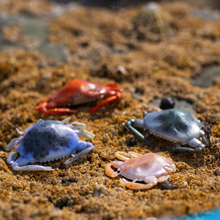 Gulp! Peeler Crab - Molting - Afbeelding 3