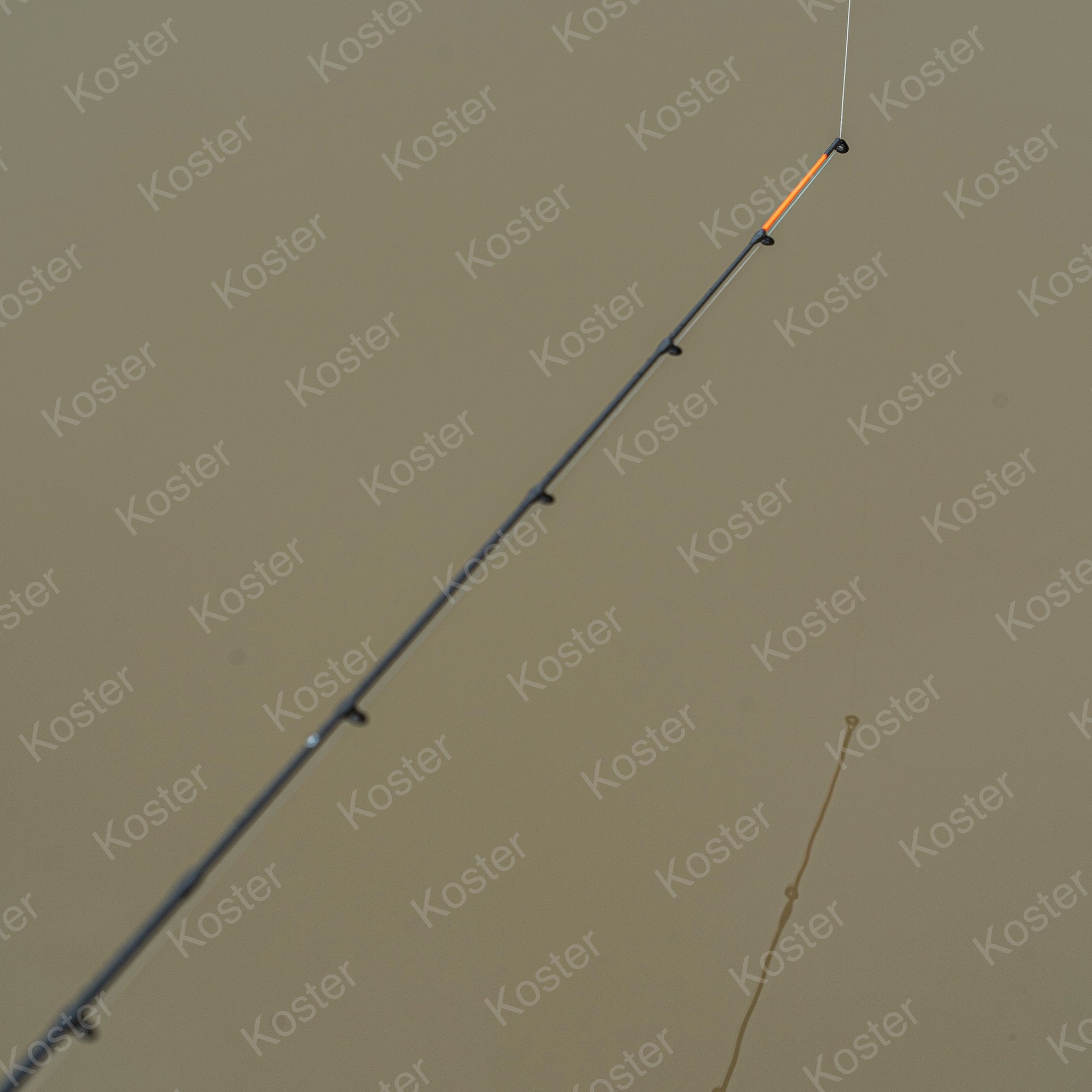 Phase 1 Feeder Rod 10' - Afbeelding 6