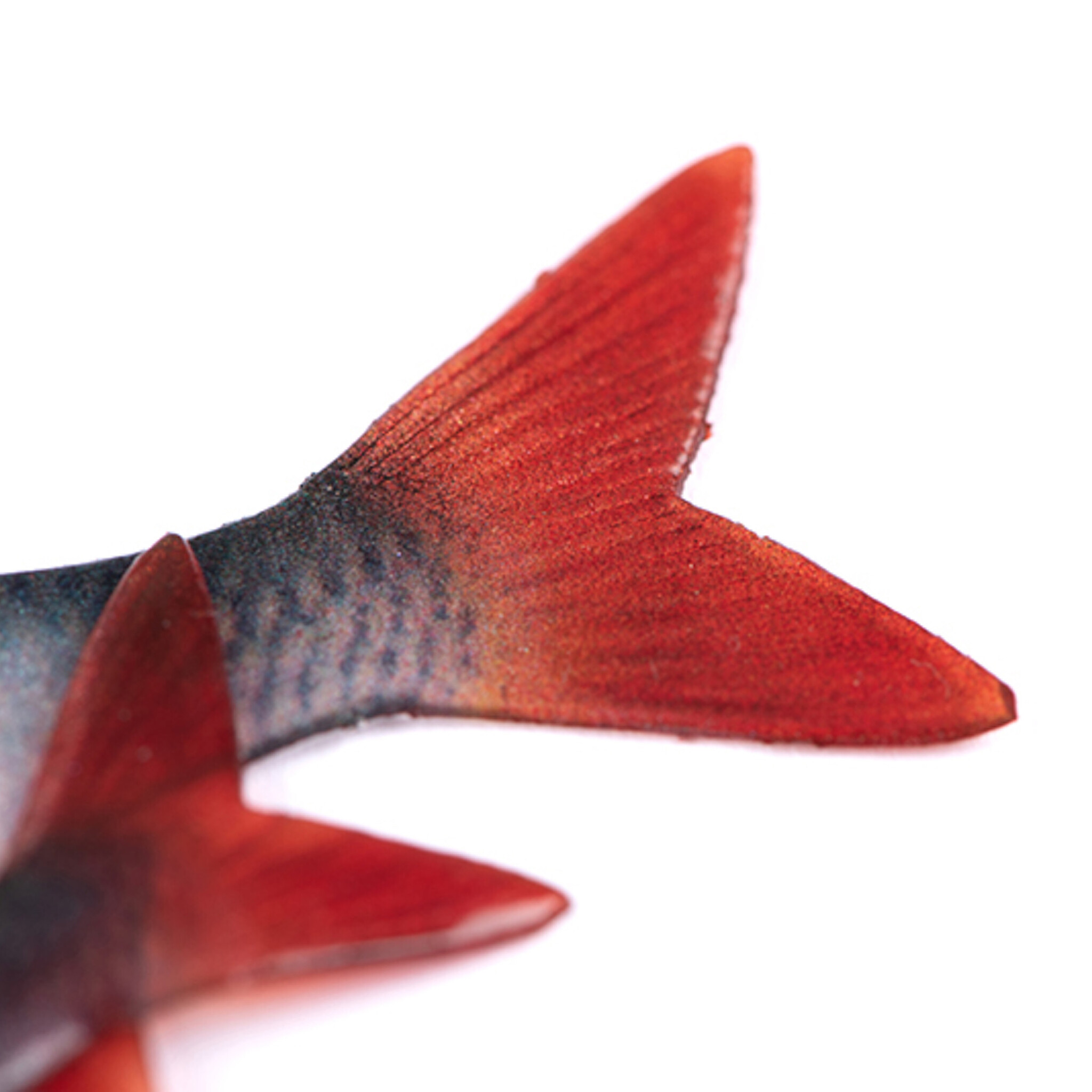 Ultra Natural Roach Fillet 8cm 4pcs - Afbeelding 5