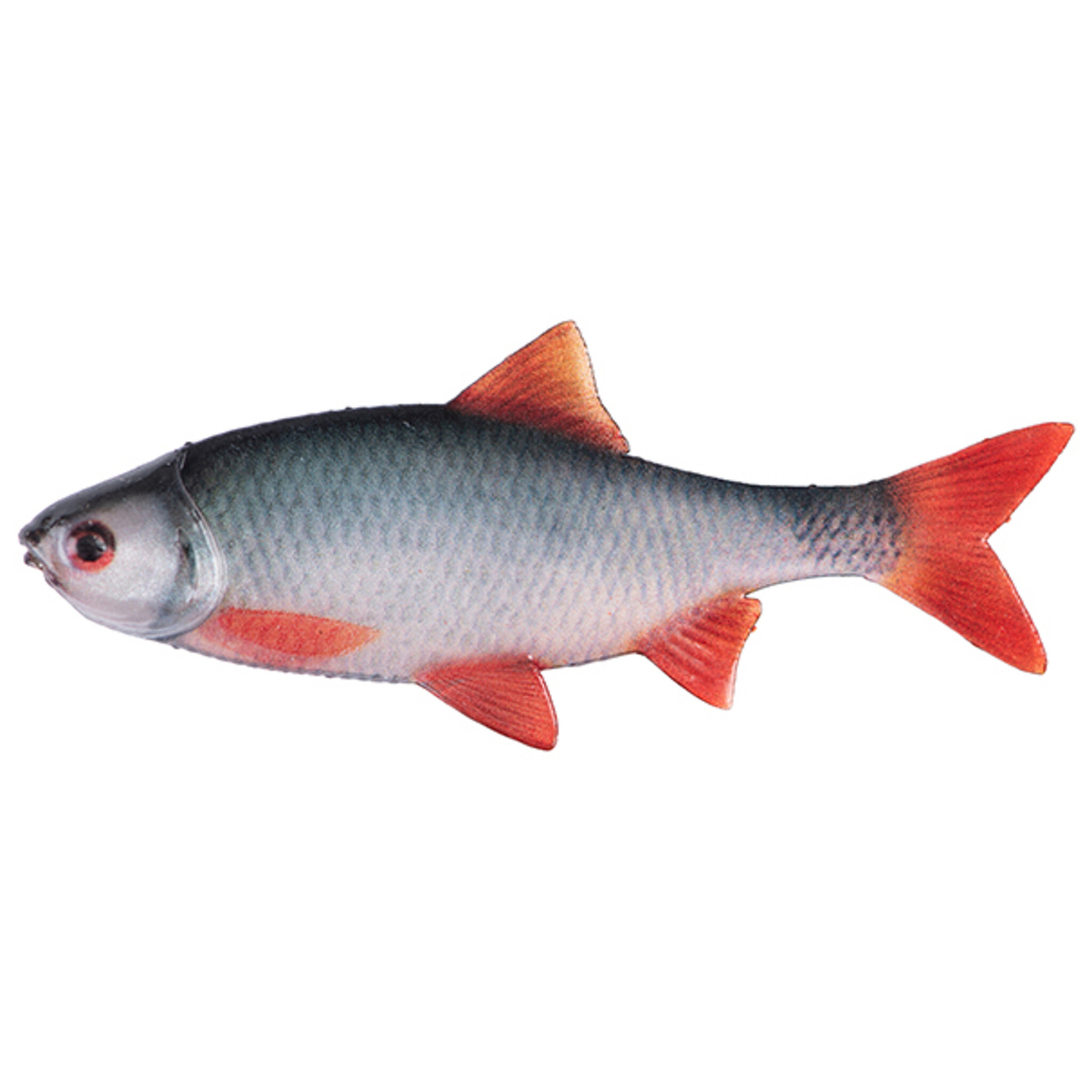 Ultra Natural Roach Fillet 6cm 4pcs - Afbeelding 5