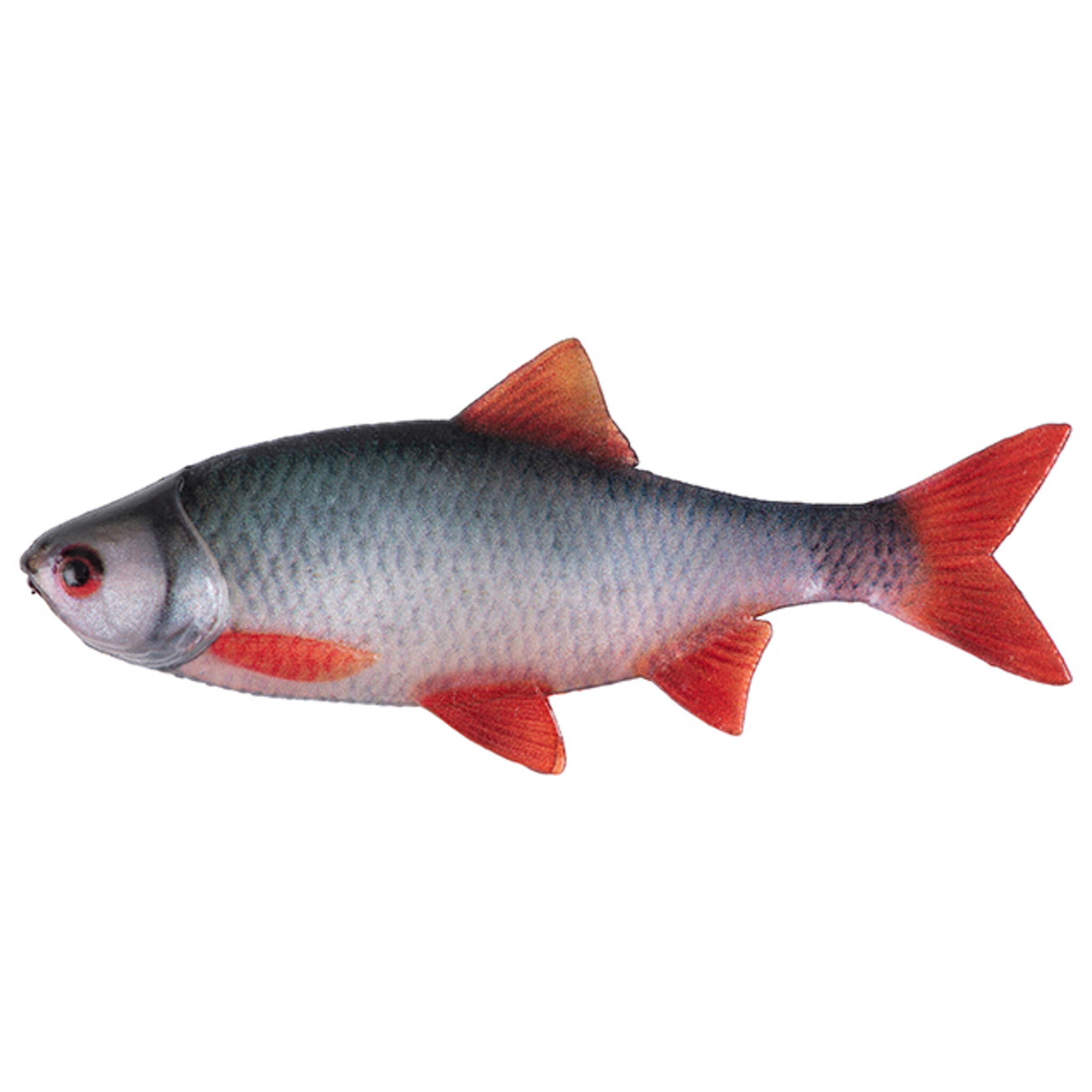 Ultra Natural Roach Fillet 8cm 4pcs - Afbeelding 3